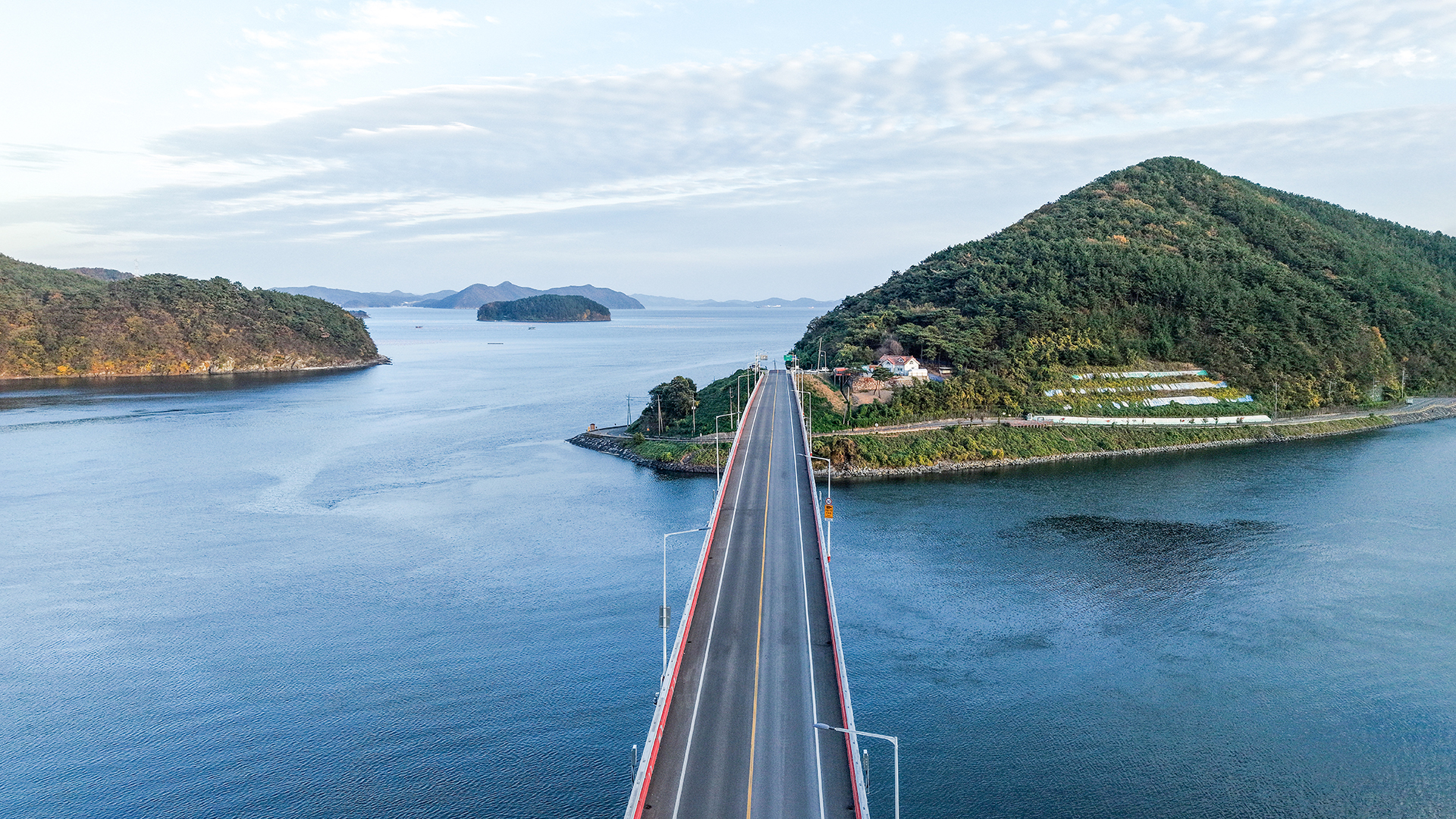 동진대교와 달뜨는 비오리